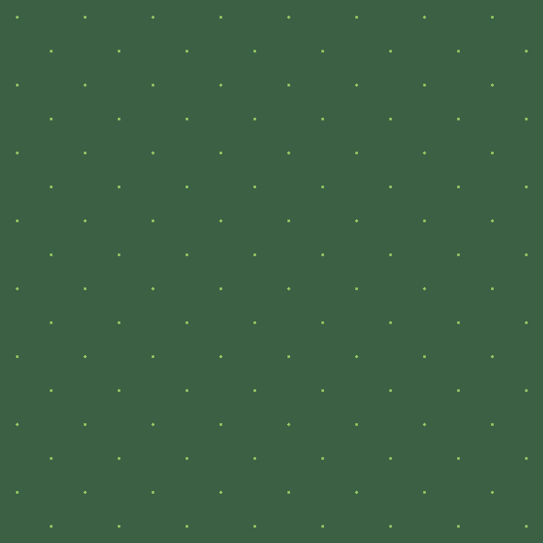 C+S Basics- square up waldgrün